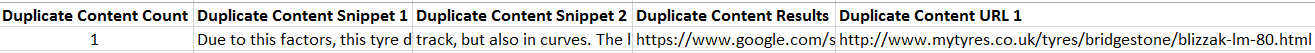 Single Duplicate Content Result